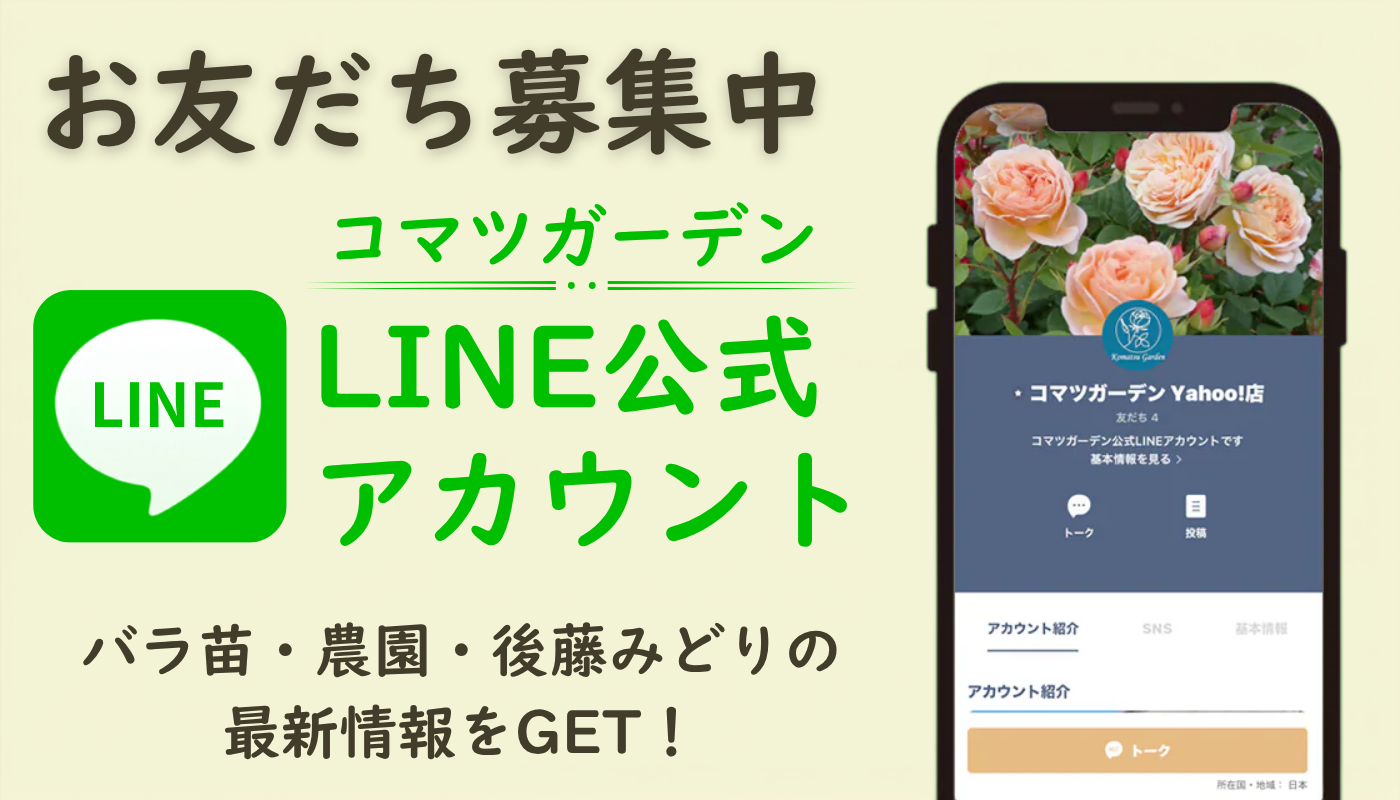 バラ苗やバラ関連グッズの通販ならコマツガーデンオランラインショップ